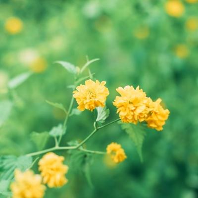 烈焰屠神手游下载